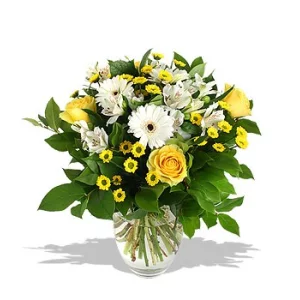 Улыбка солнца